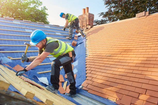 Best Metal Roofing Installation  in Providence, UT
